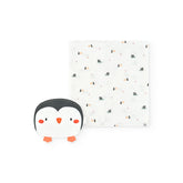 Pack canastilla de bebé